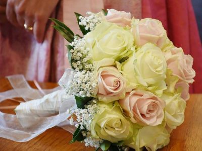 6A-roses-1660039_960_720.jpg